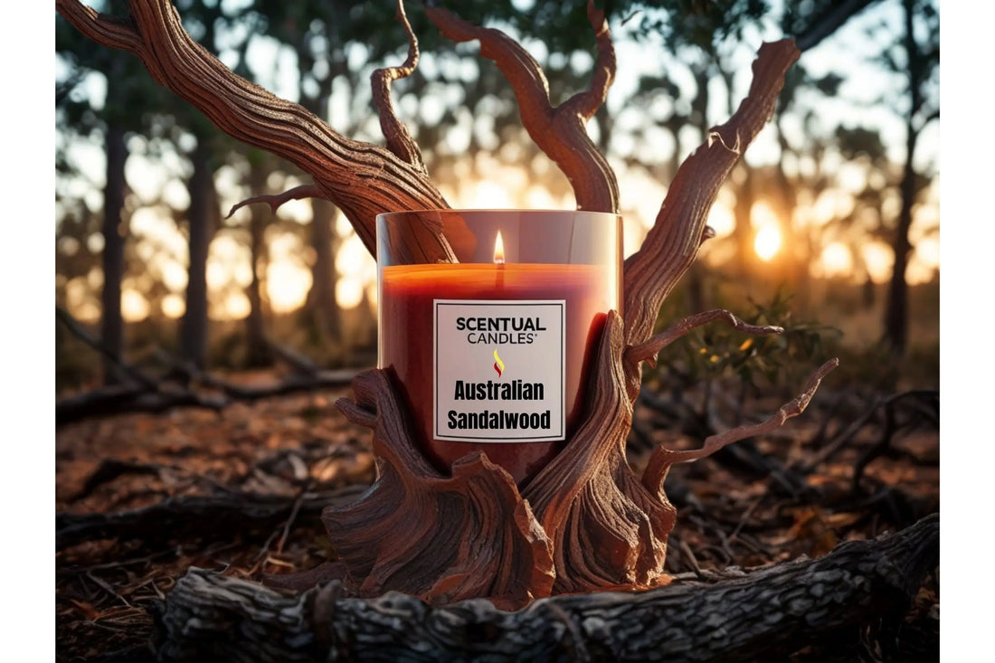Australian Sandalwood candle featured in Fathers Day Candle Gift Guide 2025.