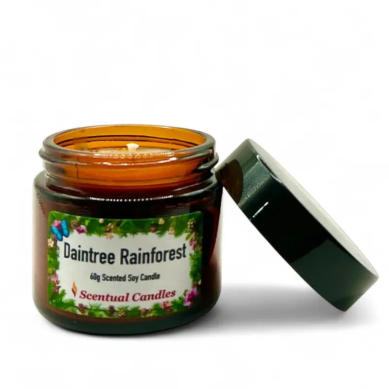 Scentual candles Pine scented candle jar labeled 'Daintree Rainforest' on a white background