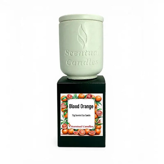 Blood Orange Candle in a ceramic pot, featuring a vibrant label with citrus fruits and scent details.