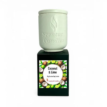Coconut and Lime Candle displayed in a sleek container with tropical design, showcasing scented soy candle features.