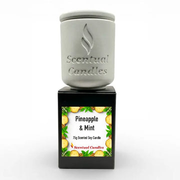 Mini Candles Set of 4 - Pineapple & Mint Scented Soy Candle