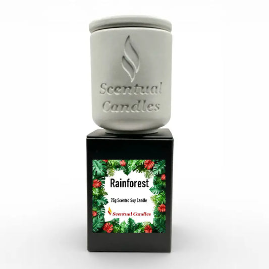Rainforest Scented Candle with lush packaging, 75g soy candle by Scentual Candles. Refreshing blend of citrus, florals, and woods.