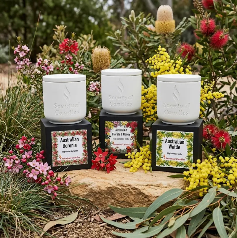 Australian Florals Candle Gift Set showcasing three unique candles among native Australian flowers.