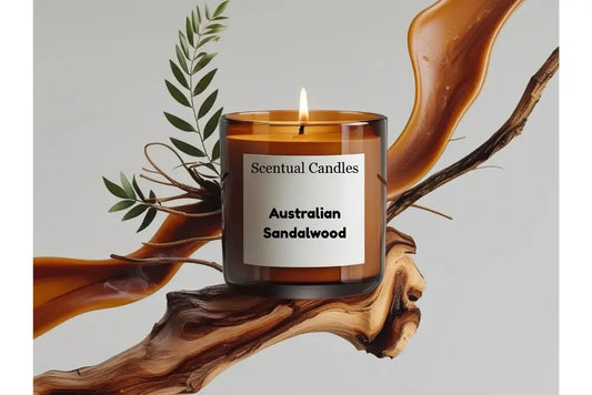 Scentual Candles Australian Sandalwood candle on a wooden branch with leaves.