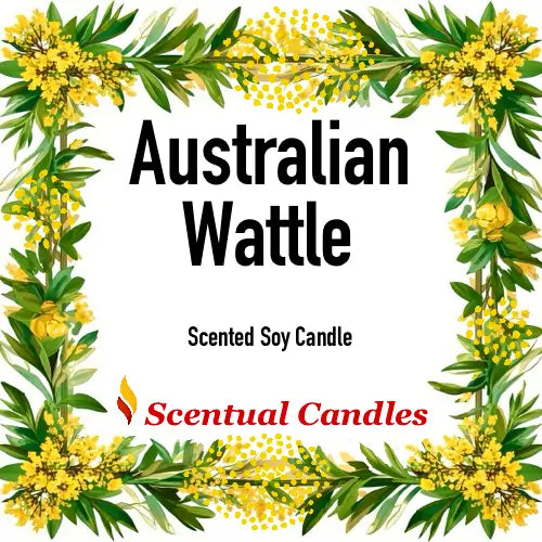 Scentual Candles Australian Wattle scented soy candle packaging with yellow flowers and green leaves.