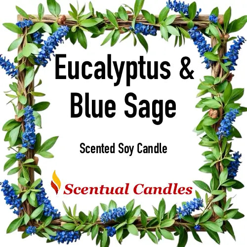Scented soy Eucalyptus candle packaging with eucalyptus and blue sage design, featuring the brand 'Scentual Candles'.