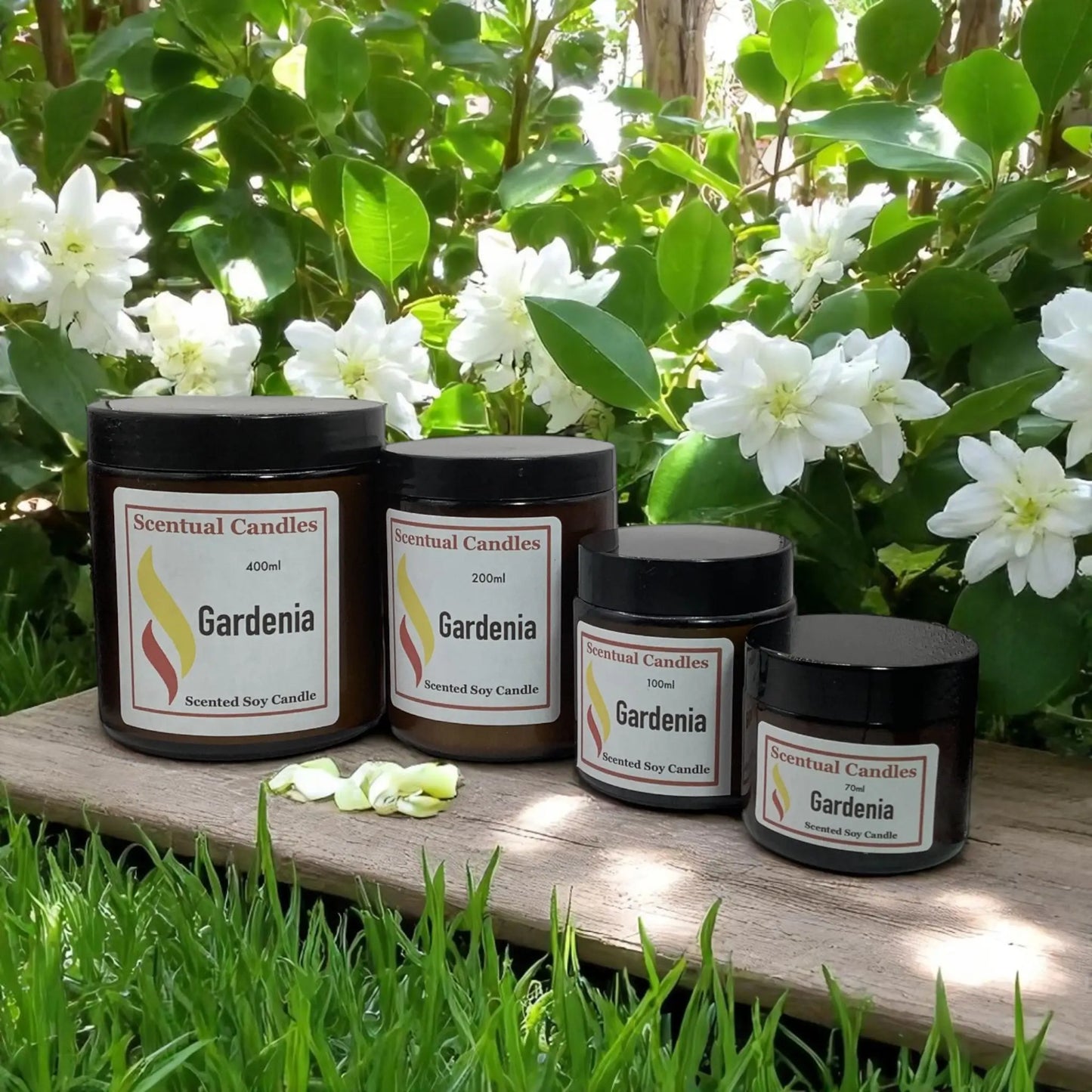 Gardenia Scented Soy Candle Sizes in a garden full of gardenia