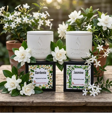Jasmine Gardenia Candle Set featuring Jasmine and Gardenia jars surrounded by fresh white flowers.