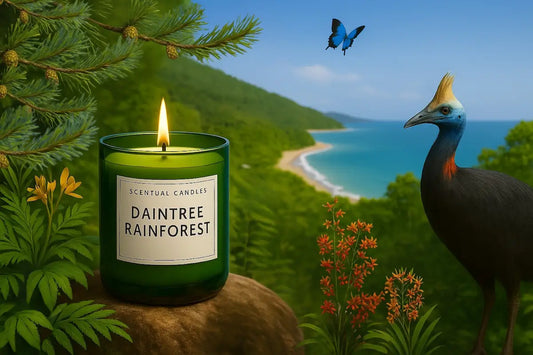 Pine scented candle 'Daintree Rainforest' with a scenic background of a beach and mountains.