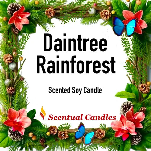 Scentual Candles Daintree Rainforest Pine scented soy candle packaging with greenery, flowers, and butterflies.