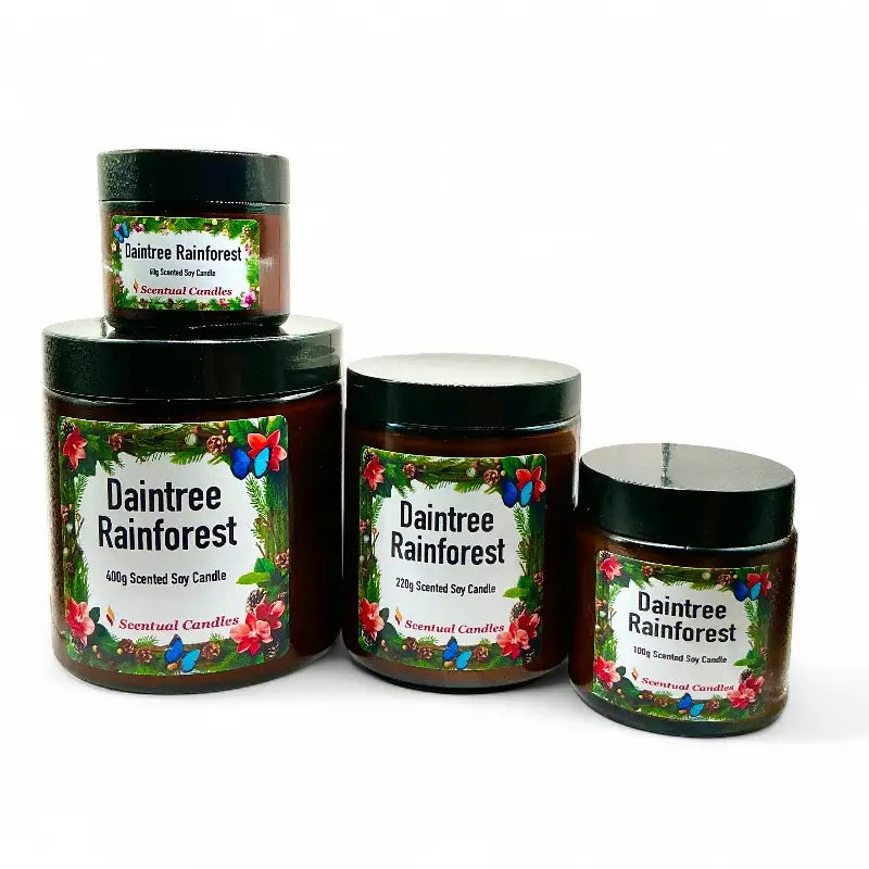 Set of Daintree Rainforest Pine scented candles with decorative labels on a white background