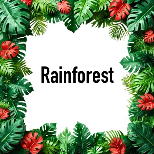 Rainforest Scented Candle packaging with tropical leaves theme, emphasizing natural and refreshing escape.