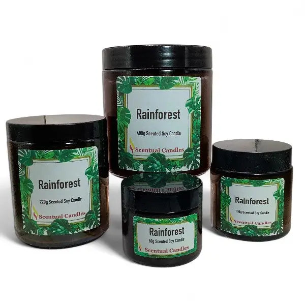 Set of four 'Rainforest' scented candles with green labels on a white background