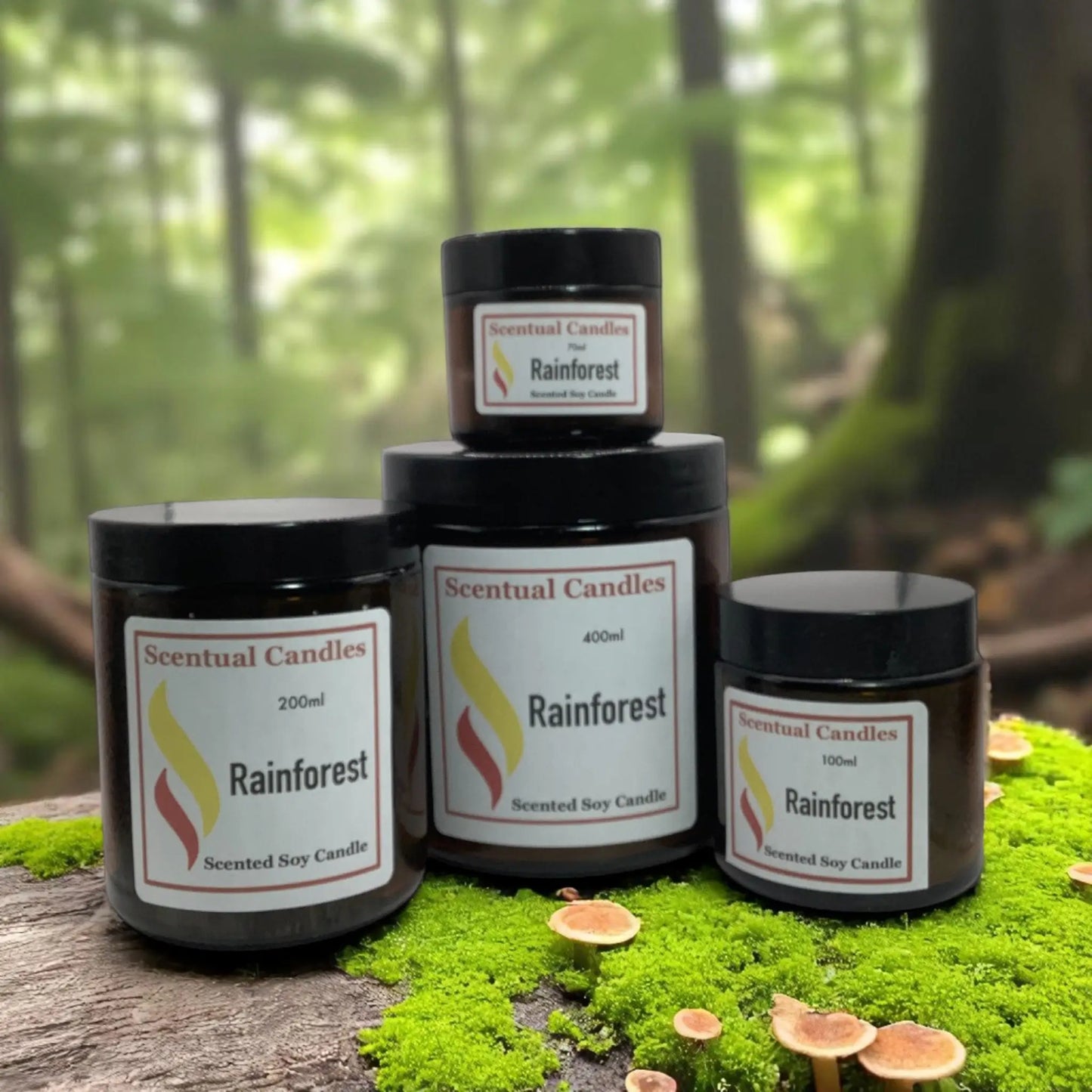 Rainforest Scented Soy Candle Sizes on the rainforest floor with moss and fungi