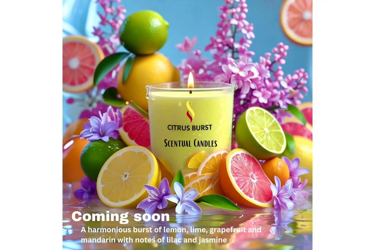Citrus burst scented candle with fruits and flowers on a blue background