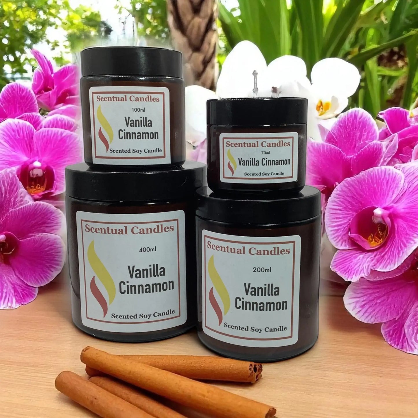 Vanilla and Cinnamon Scented Soy Candle Sizes with cinnamon and orchids