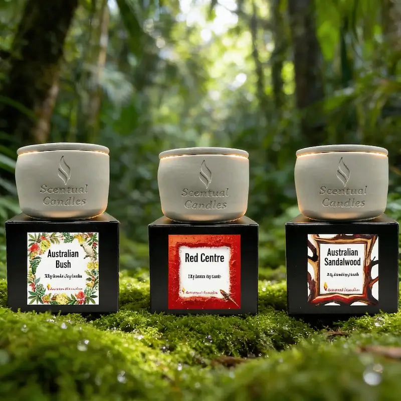 Woody and Earthy Scented Candles Set featuring Australian Bush, Red Centre, and Sandalwood scents against a lush forest background.