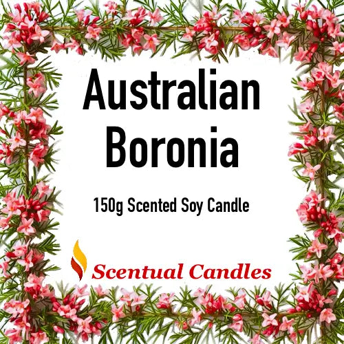 Australian Botanicals scented candle set with Australian Boronia fragrance, 150g soy candle by Scentual Candles.