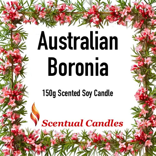 Australian Florals candle featuring Australian Boronia, 150g scented soy candle by Scentual Candles.