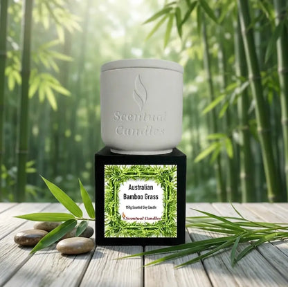 Bamboo Candle displayed in a serene bamboo grove, featuring Australian Bamboo Grass scent on the label.