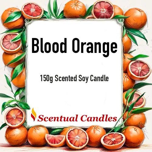 Blood Orange Citrus Candles Set soy candle, 150g scented, surrounded by fresh oranges. Part of a luxurious Citrus Candles Set.