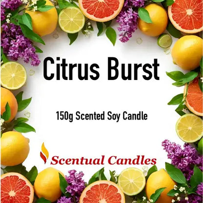 Citrus Burst 150g scented soy candle with vibrant fruits and flowers, part of the Living Room Scented Candles set by Scentual Candles