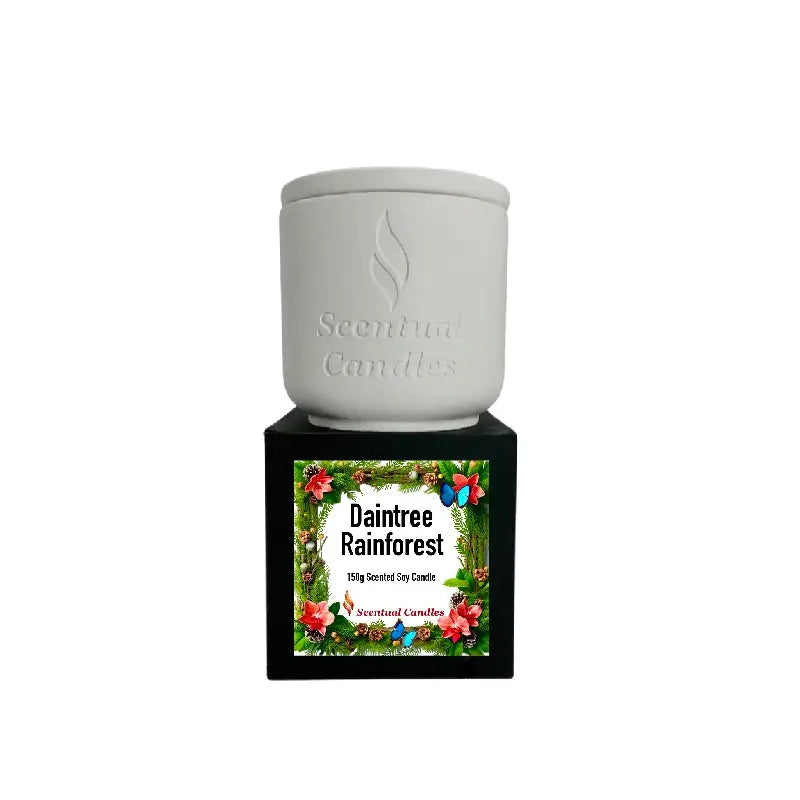 Pine Scented Daintree Rainforest Candle in elegant white container with floral packaging.