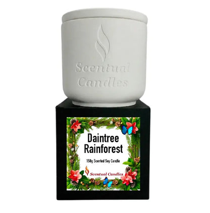 Pine Scented Daintree Rainforest Candle in elegant white container with floral packaging.