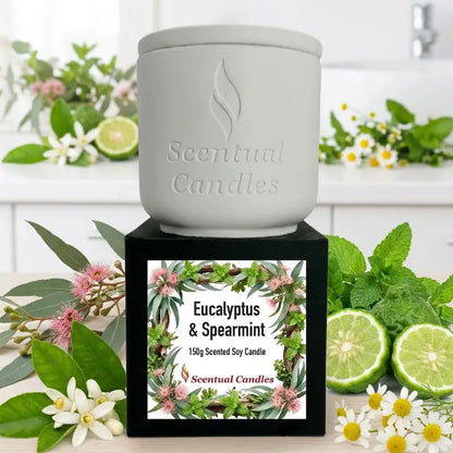 Australian Botanicals Eucalyptus Candle with Spearmint in a decorative pot surrounded by fresh eucalyptus and spearmint leaves.
