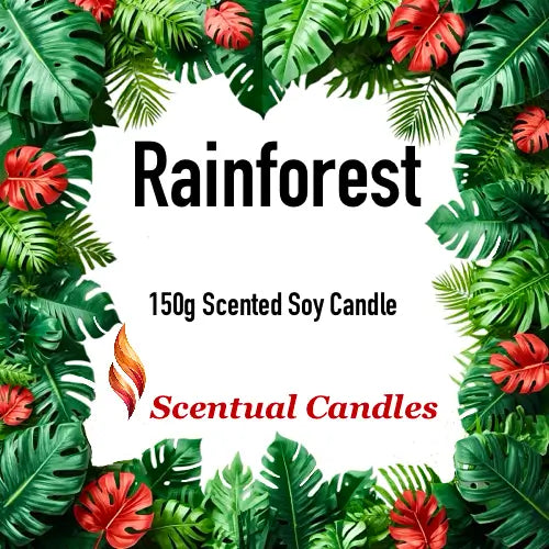 Fresh Scented Candle - Rainforest 150g Scented Soy Candle surrounded by tropical leaves.