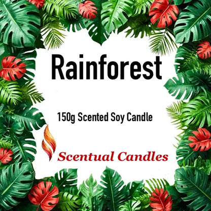 Fresh Scented Candle - Rainforest 150g Scented Soy Candle surrounded by tropical leaves.