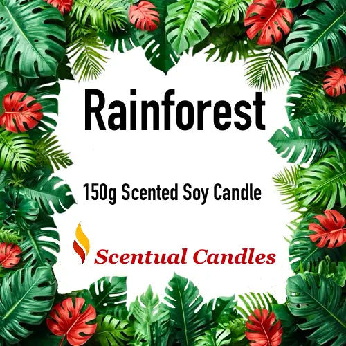 Rainforest scented soy candle, part of the Relax Candle Pack, surrounded by lush green and red tropical leaves by Scentual Candles.