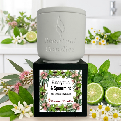 Australian Botanicals Eucalyptus Candle with Spearmint in a decorative pot surrounded by fresh eucalyptus and spearmint leaves.