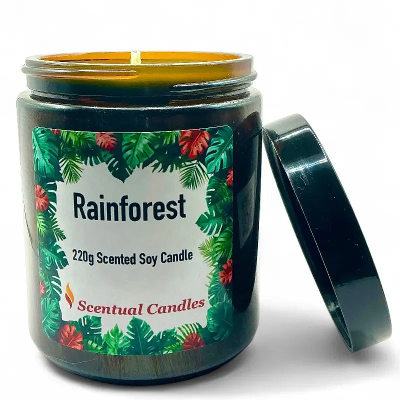 Rainforest Scented candle labeled 'Rainforest' with a decorative label on a white background