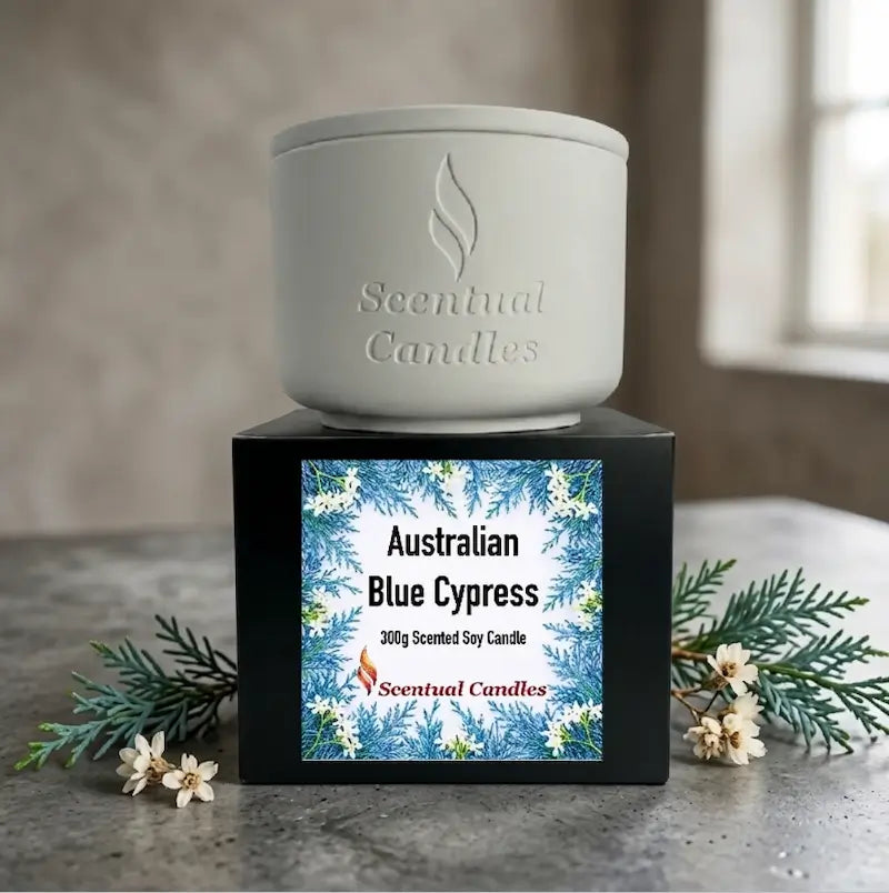 Australian Blue Cypress Candle displayed in a ceramic container with decorative label on the box.