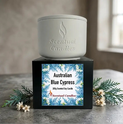 Australian Blue Cypress Candle displayed in a ceramic container with decorative label on the box.