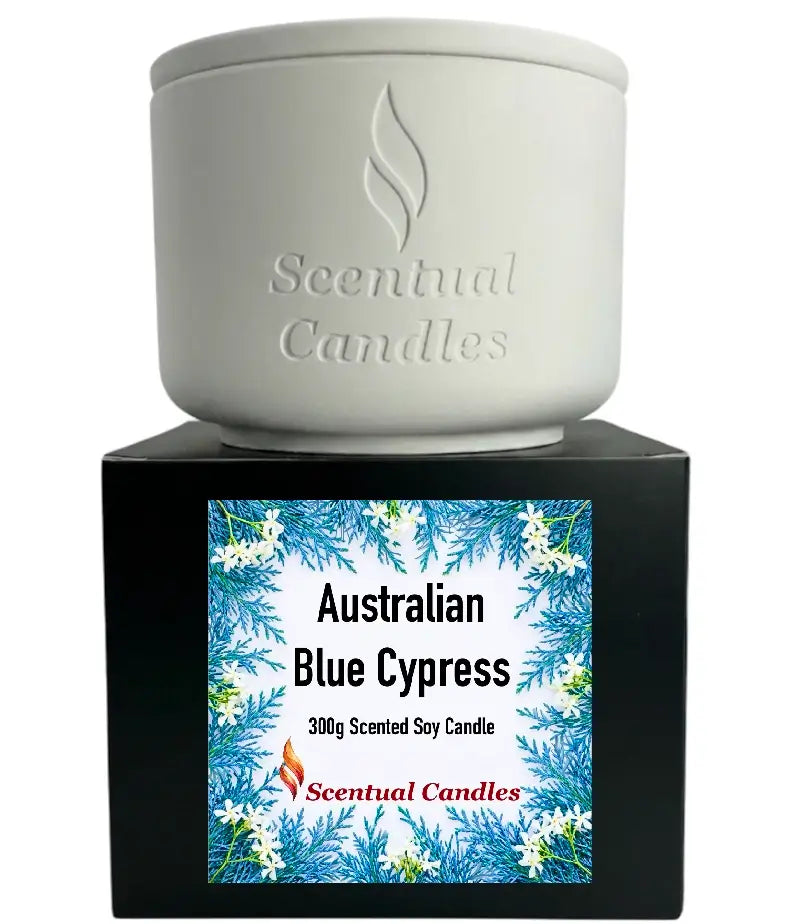 Australian Blue Cypress Candle displayed in a ceramic container with decorative label on the box.