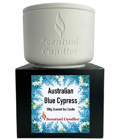Australian Blue Cypress Candle displayed in a ceramic container with decorative label on the box.