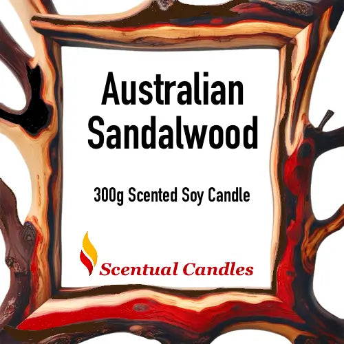 Australian Sandalwood 300g Scented Soy Candle from Woody and Earthy Scented Candles Set by Scentual Candles