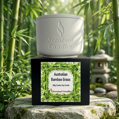 Bamboo Candle - Australian Bamboo Grass Scented Soy Candle displayed in a serene bamboo setting.