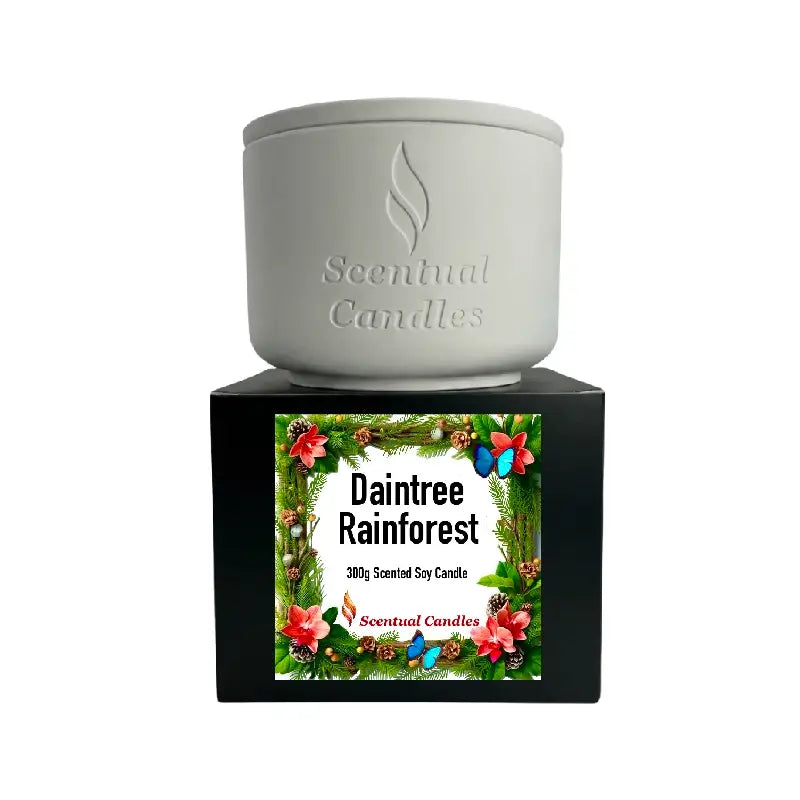 Pine Scented Daintree Rainforest Candle in white ceramic container with floral design.