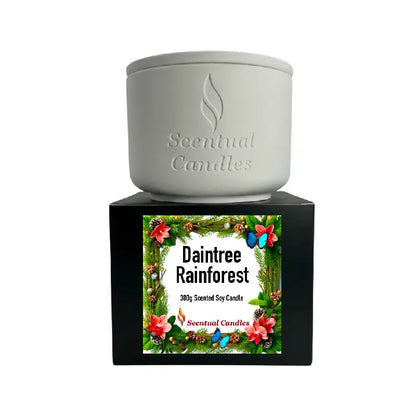 Pine Scented Daintree Rainforest Candle in white ceramic container with floral design.