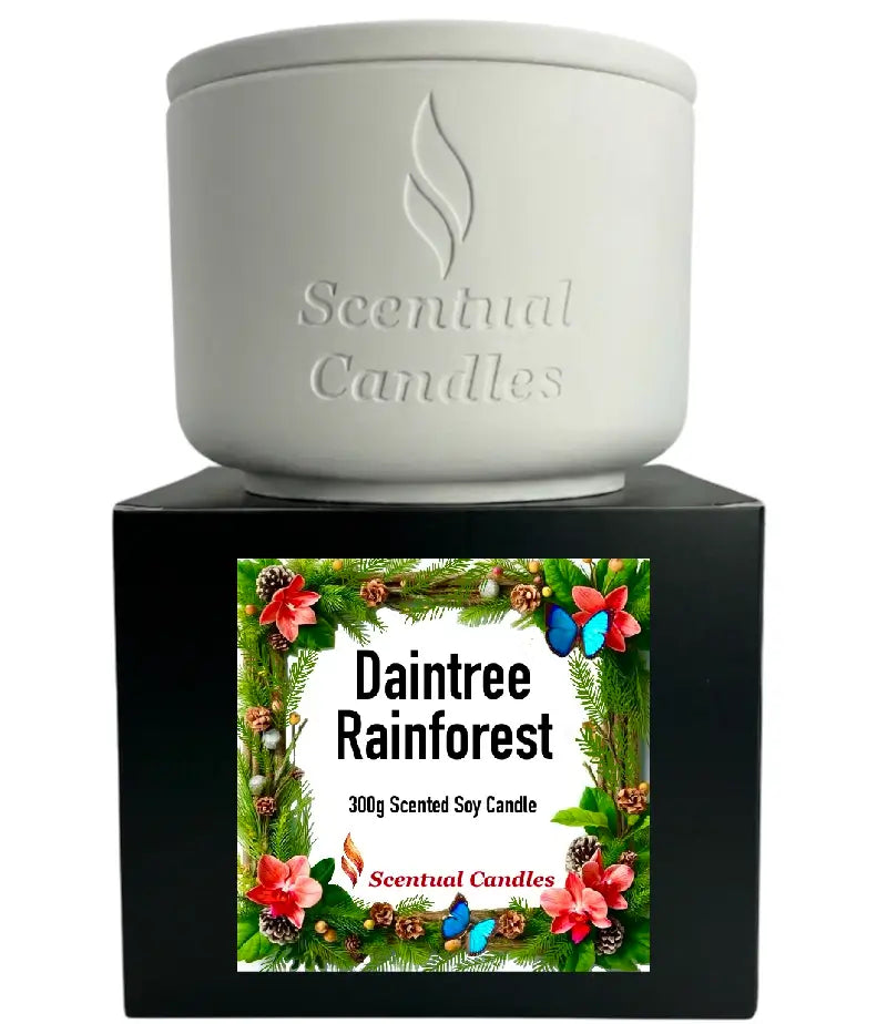Pine Scented Daintree Rainforest Candle in white ceramic container with floral design.