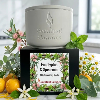 Eucalyptus Candle with Spearmint in a stylish container, surrounded by fresh leaves and citrus fruits.