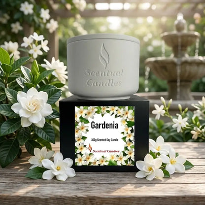 Gardenia Candle in a white ceramic holder on a black box, showcasing 300g scented soy floral candle design.