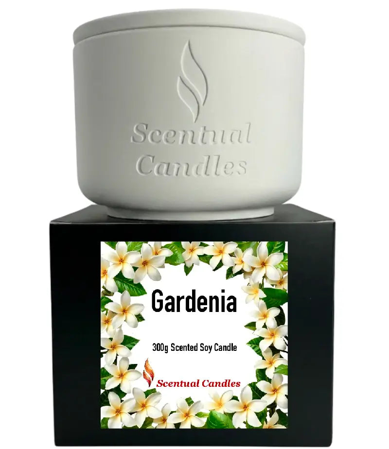 Gardenia Candle in a white ceramic holder on a black box, showcasing 300g scented soy floral candle design.