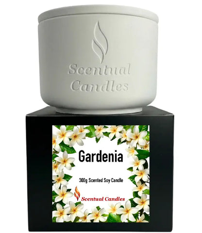Gardenia Candle in a white ceramic holder on a black box, showcasing 300g scented soy floral candle design.