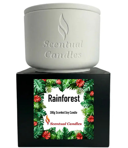 Rainforest Scented Candle presented in a stylish white ceramic container with vibrant tropical packaging.