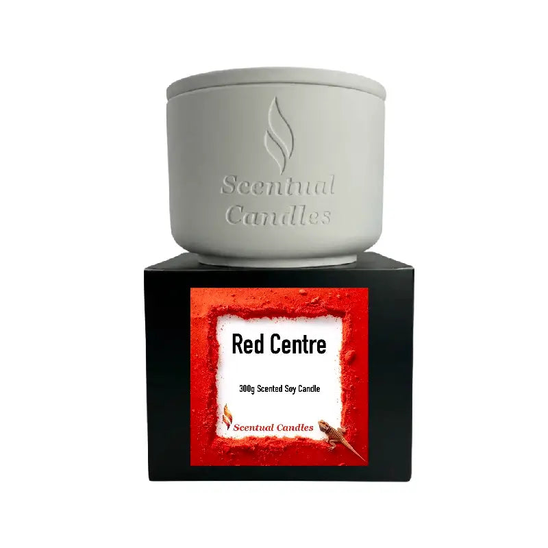 Woody and Earthy Scented Candles featuring a 300g candle with a minimalist design on a stylish box.