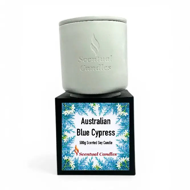 Australian Blue Cypress Candle in white holder on black base, 500g scented soy candle from Scentual Candles.